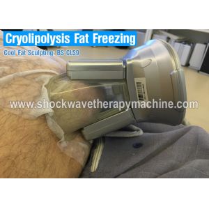Fat Freeze Cryolipolysis Treatment For Body Slimming