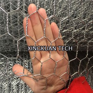 Quality Poultry Farms Fence , Galvanized Hexagonal Wire , Chicken Mesh Wire for sale