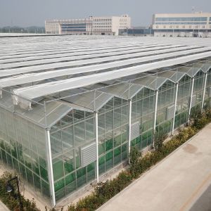 Advanced Hydroponic System for Growing Vegetables in Agricultural Greenhouses