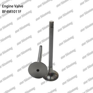 BF4M1011F Engine Piston Valve For Deutz Engine Spare Parts