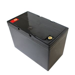Coslight 12v 50ah Sealed Power Battery 12V Lifepo4 Marine Battery