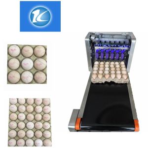 High Output Egg Marking Food Inkjet Printer With Diversified Printing Fonts /