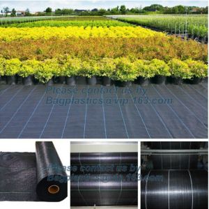 Water management weeb control pavement preservation courtyard beautify anti