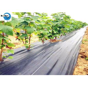 UV Treated Agriculture Weed Control Mat Black Plastic Mulch Ground Cover Weed