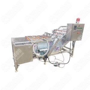 Commercial Green Pepper Capsicum Washer Edamame Pea Carob Air Bubble Washing