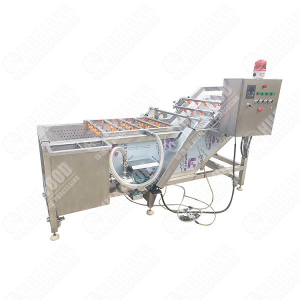 Commercial Green Pepper Capsicum Washer Edamame Pea Carob Air Bubble Washing