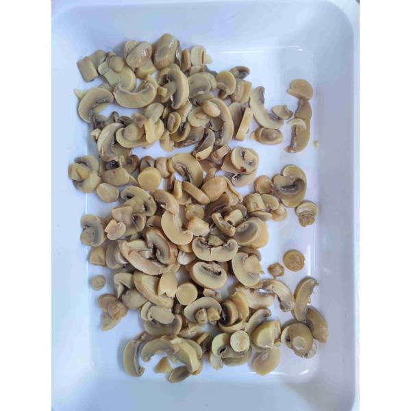 Buy Fresh 10.2 Kg Canned Champignon Mushroom Cultivated at wholesale prices