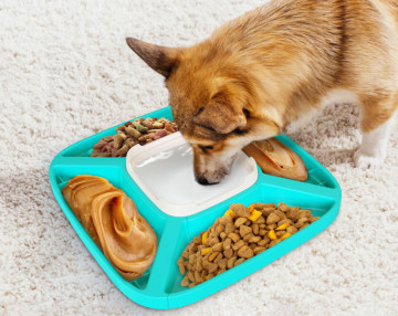 Buy Pet Puzzle Slow Feeder IQ Interactive Training Toy at wholesale prices