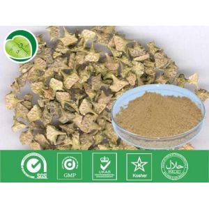 Saponins 40%, 60% tribulus terrestis extract -Tribulus terrestris L.