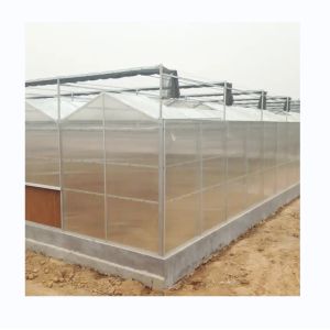 Super Strong Resistance Polycarbonate Greenhouse Full Set for Commercial