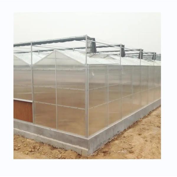 Super Strong Resistance Polycarbonate Greenhouse Full Set for Commercial