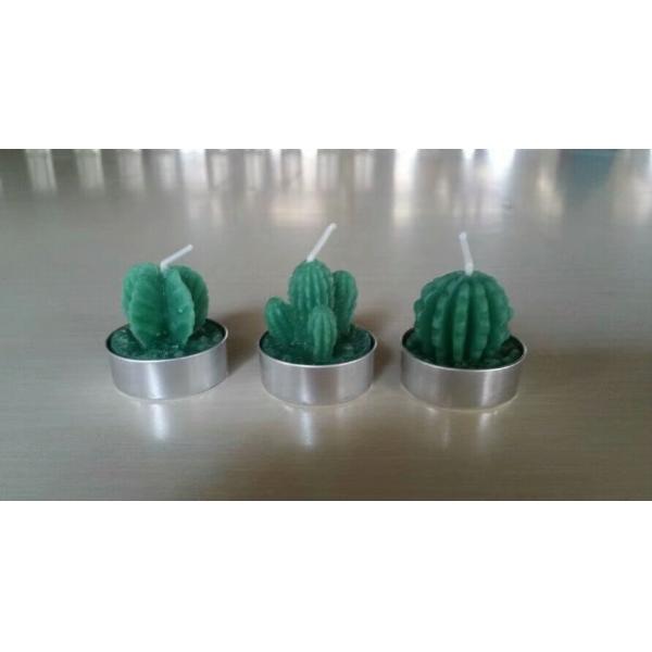 Decor green bonsai plants unscented candle with metal cup and the package of paper tray and PVC box