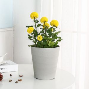 Wavy Surface Beaker 1.5L Bulk 15cm recycled plastic Resin Plant Pots