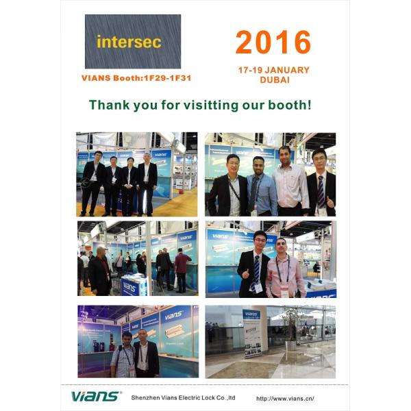 VIANS 2016DUBAI INTERSEC-800X600.jpg