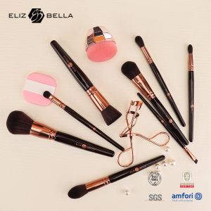 Customized Cosmetic Brush Set for BLUSHER Application by Professional Suppliers