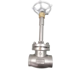 SS304 CF8 DN50 Low Temperature Socket Weld Globe Valve