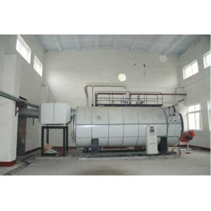 PLC Control Gas Fuel Fired Hot Water Boilers