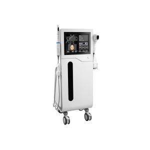 Vertical korea 4D Ultra Hifu Face Lifting Machine 4D HIFU 4 iN 1 portable hifu