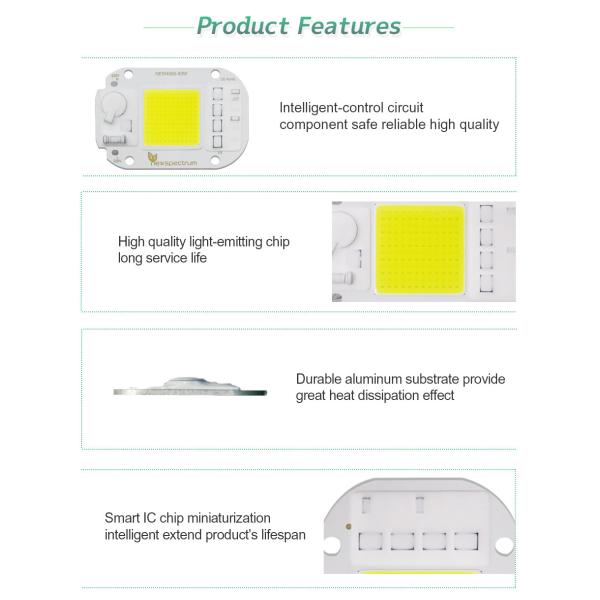 6000K COB LED Module Size 25mm Flip Chip For DIY Flood Light