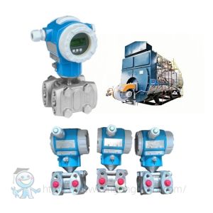 Liquid Flow Control Flow Meter Endress Hauser Deltabar PMD75 Differential