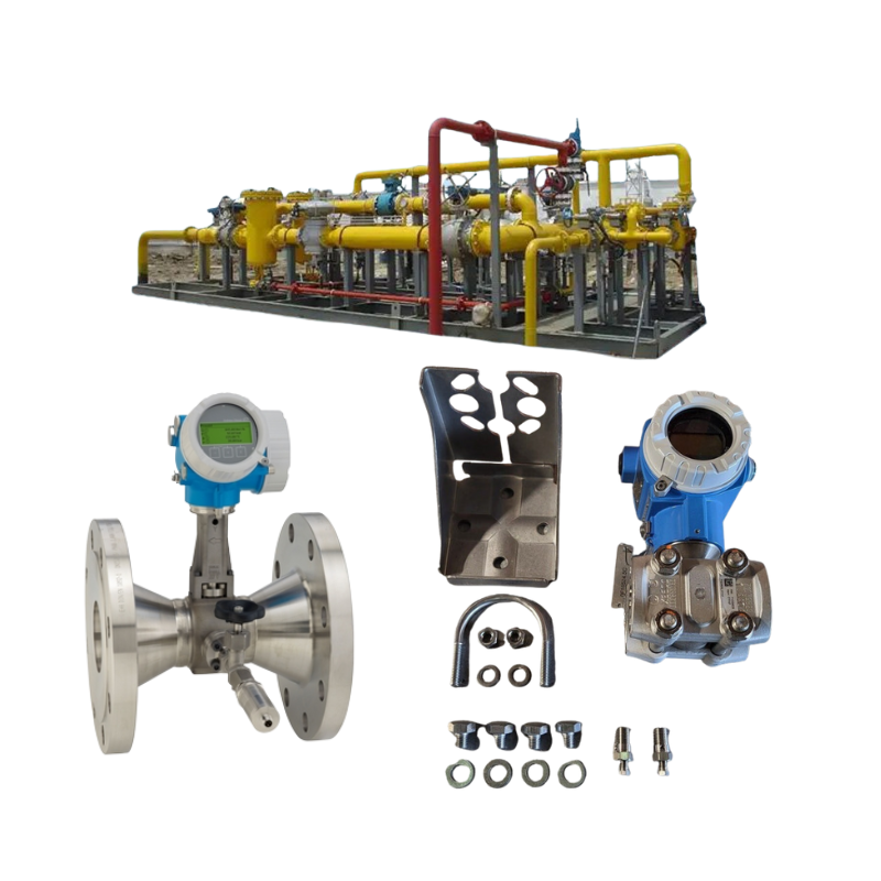 Pressure reducing and temperature station equipped with an Endress+Hauser
