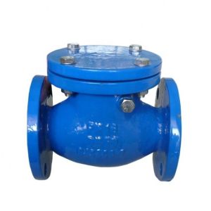 Ductile Iron Flanged Brass Seat Swing Check Valve with Customized Port Size Non