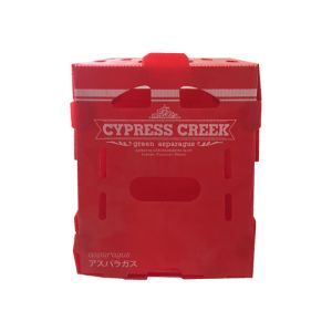 Velcro PP Hollow Box 5mm Corrugated Plastic Packing Box Turnover Red