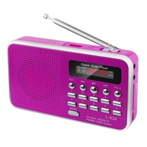 Customized Universal Battery Operated Radio With Bluetooth Handheld