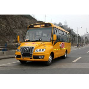 Euro4 Dongfeng 4x2 EQ6660S4D School Bus
