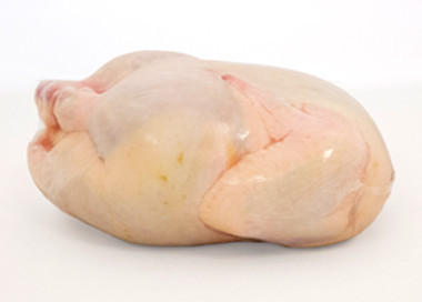 Buy EVA PE Low Oxygen Barrier Poultry Shrink Wrap Bags at wholesale prices