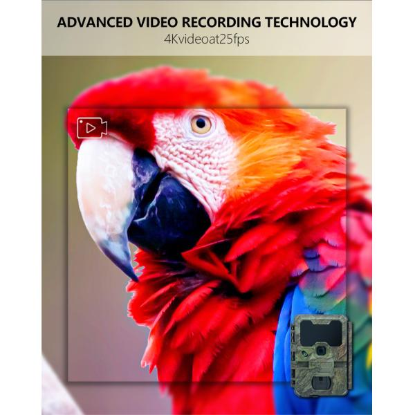 Outdoor Wildlife Hunting Camera up to 512GB Storage 32MP 4K at 30fps KW866 0.25s Response Speed Deer Hunting Camera