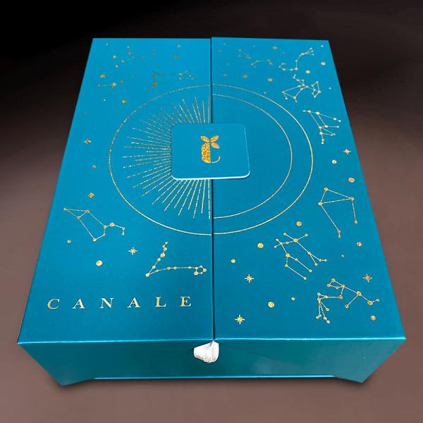 Customized Skin Care Luxury Gift Paper Box for Special Double Door Cosmetic Packaging