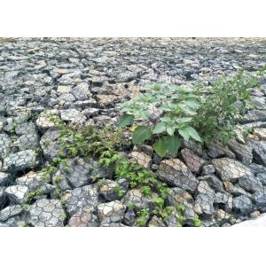 120*150mm Gabion Wire Mesh