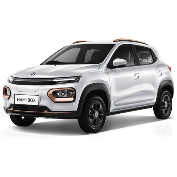 2023 DONGFENG Nami Box Energy Vehicle 4 Wheel Electric Car Adult Vehicle Made In