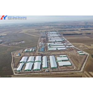 Galvanized Steel Piggery Shed Construction Steel Structure Chicken Shed