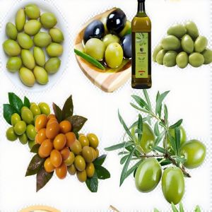 Fully Automatic Avocado Oil Pressing Line 5TPH - Horizontal Rotor Centrifuge