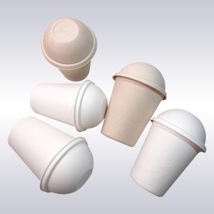 Multiscene Biodegradable Coffee Cups
