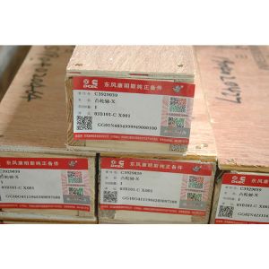 3929039 Truck Camshaft for Cummins engine