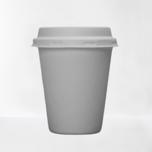 Bagasse Molded Pulp Leakproof 8oz 250ml Biodegradable Cups And Lids