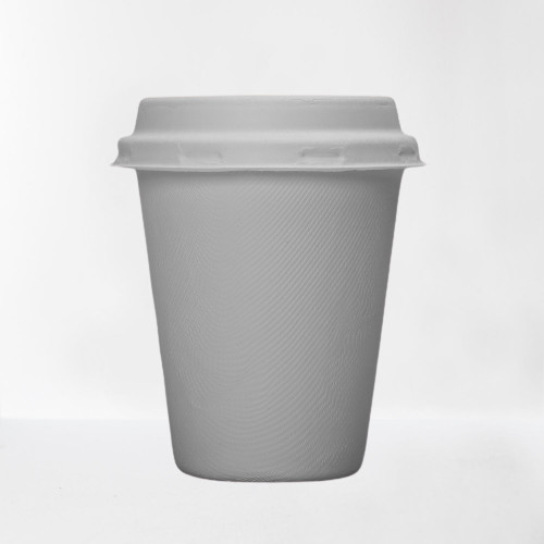 Bagasse Molded Pulp Leakproof 8oz 250ml Biodegradable Cups And Lids