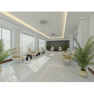 PVDF Aluminum Partition For Column Cover/Cladding