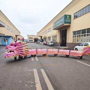 Simulation Chinese Walking Dragon Ride on Customized Size / Color
