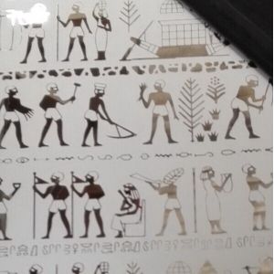 304 Color Coated Mirror Finish Stainless Steel Etching Sheet For Wall Decorative