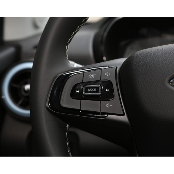 Chery Little Ant 2023 251KM Reai Revised Lithium Iron Phosphate Mini Car