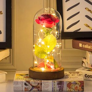 MDF Wood Base Borosilicate D12xH20cm Glass Dome Cloche