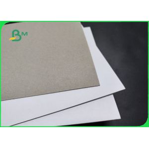 1mm Thickness One face Laminated White Offset Grey Board Paper 600 x 500mm