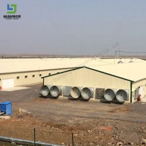Low Cost Chicken Farm Design Prefabricated Poultry House Sheep Cow Barn Shed