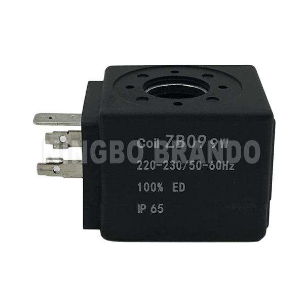 Solenoid Coil ZB09