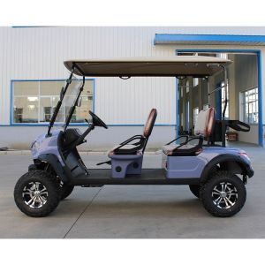 Sell 4 Seater Electric Hunting Golf Cart with 5KW AC KDS Motor and High Grade