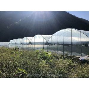 Shine Tech Greenhouse Turnkey Solution For Agricultural Tomato Hydroponics